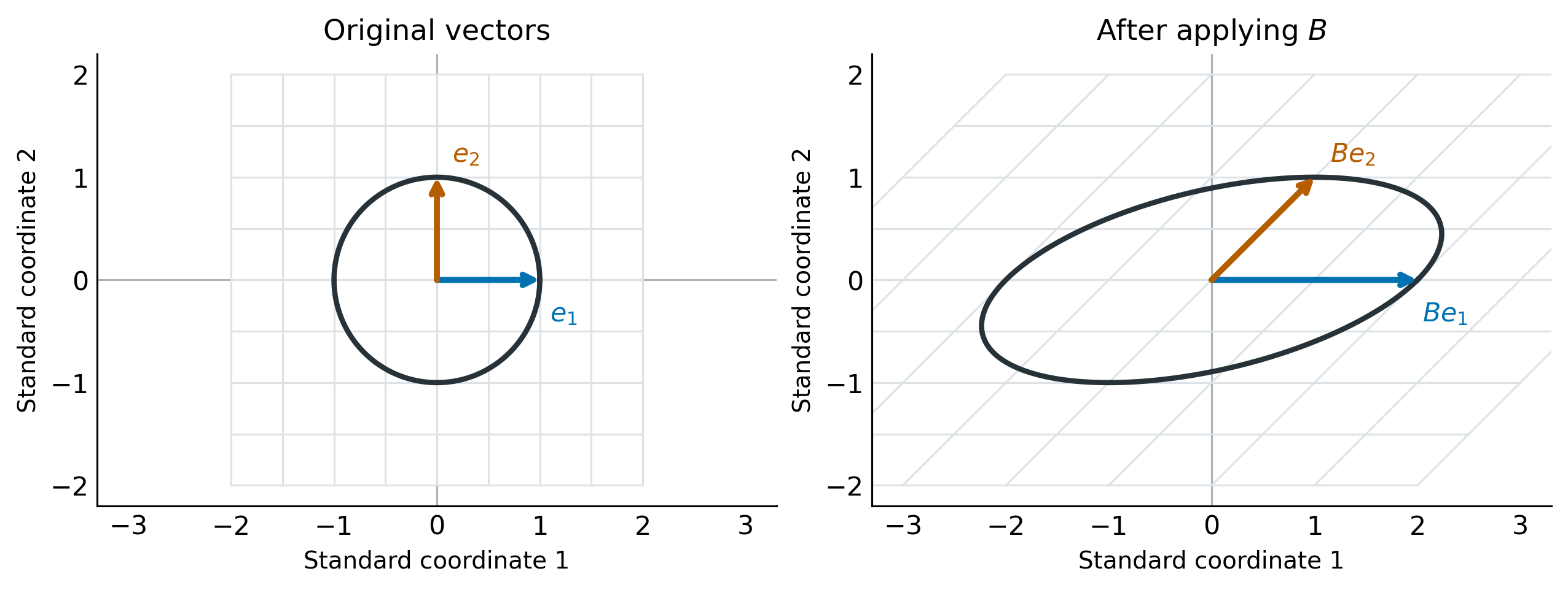 A square grid with a unit circle and two perpendicular basis arrows becomes a slanted grid with an ellipse. The horizontal basis arrow doubles in length, and the vertical basis arrow becomes diagonal.